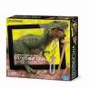 Tyrannosaurus Rex DNA. 4M 00-07002