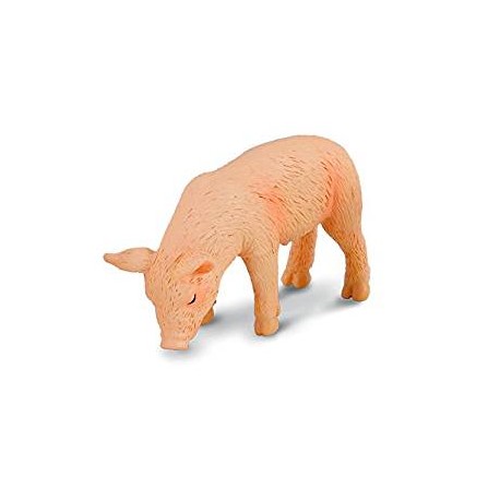 Cerdito comiendo. COLLECTA 88436