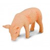 Cerdito comiendo. COLLECTA 88436