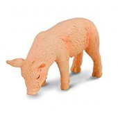 Cerdito comiendo. COLLECTA 88436