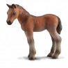 Thoroughbred foal. COLLECTA 88244