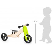 Training Tricycle 2-in-1.