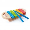 Rainbow xylophone.