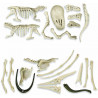 Excavation kit: T-Rex and Pteranodon.