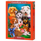 Puppies, 1000 pcs.