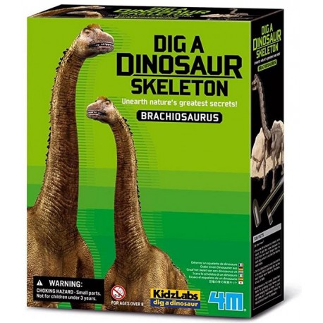 Kit de excavación Brachiosaurus. 4M 00-03237