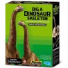 Kit de excavación Brachiosaurus. 4M 00-03237