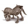 Triceratops  Skeleton. 4M 00-03228