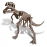 Kit de excavación: Tyrannosaurus Rex. 4M 00-03221