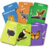 Flas Cards: mis primeros 100 animales.