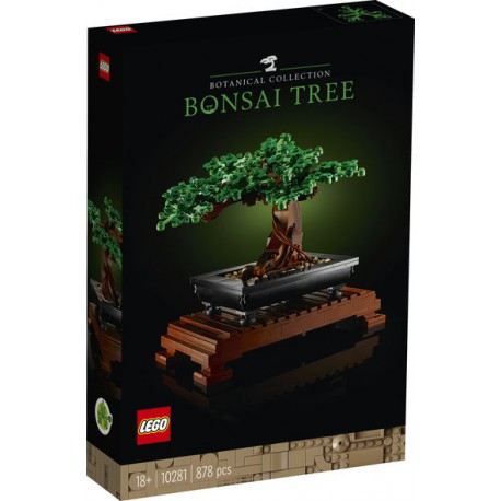 Bonsai tree.