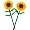 Sunflowers.