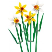 Daffodils.