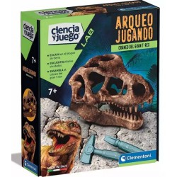 Arqueojugando cráneo del T-Rex.