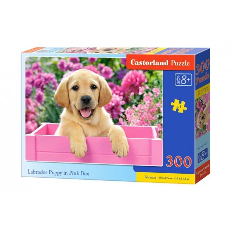 Labrador Puppy in Pink Box. 300 pcs.