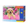 Labrador Puppy in Pink Box. 300 pcs.