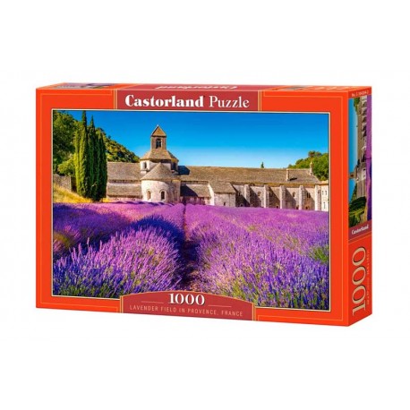 Lavender field in Provence, France. 1000 pcs.